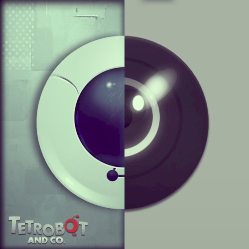 Tetrobot and Co.