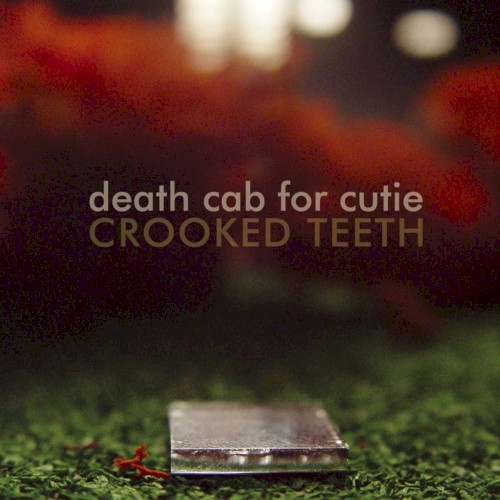 Crooked Teeth