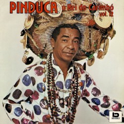 O Rei Do Carimbó Vol. 12