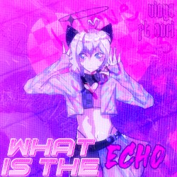 What is the Echo