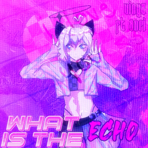 What is the Echo