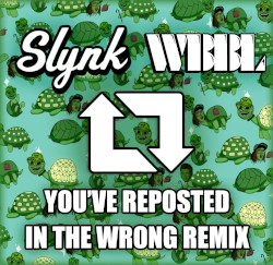 You’ve Reposted in the Wrong Remix