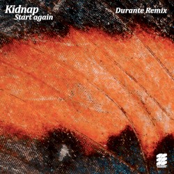 Start Again (Durante remix)