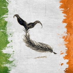 Rule #23 – Birds of a Feather