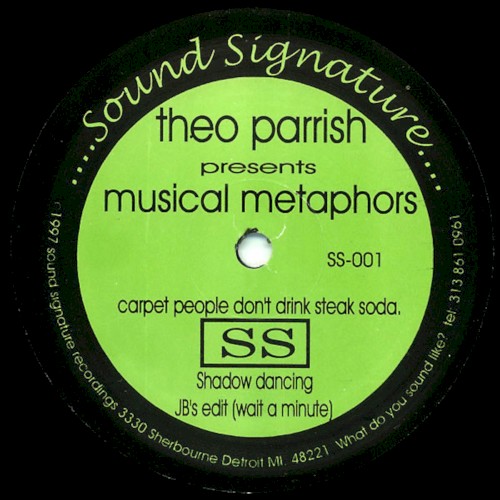 Musical Metaphors