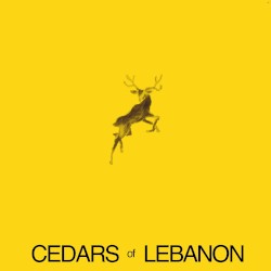 Flight of the Deer
