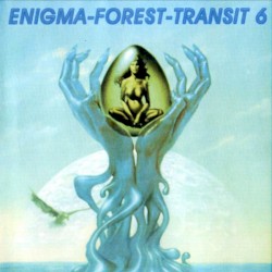Enigma-Forest-Transit 6
