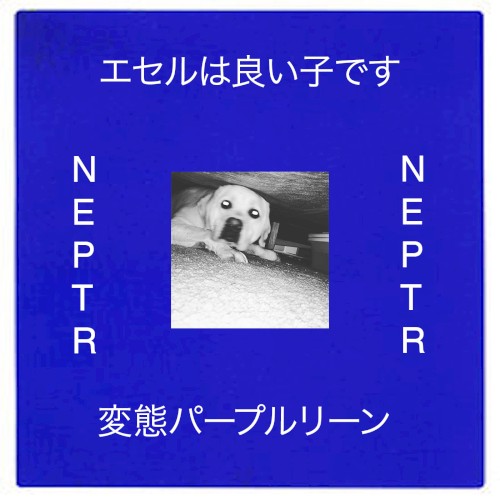 Not Everyone Plays This Record