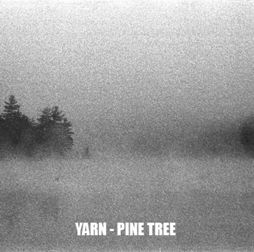 Pine Tree