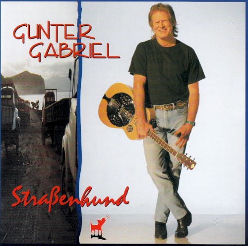 Straßenhund