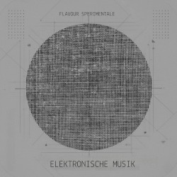 Elektronische Musik