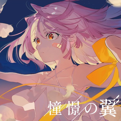 憧憬の翼
