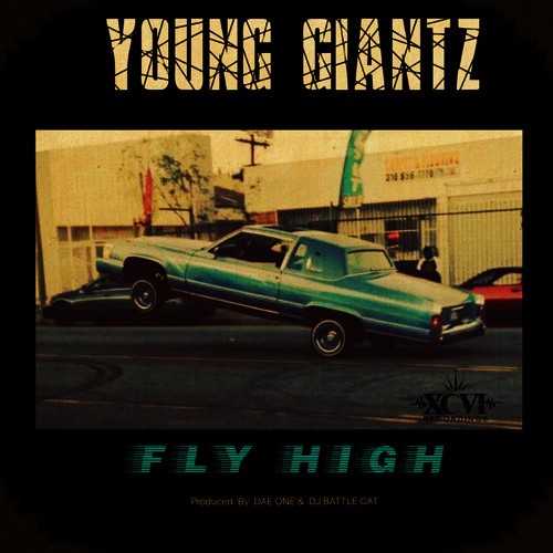 Fly High