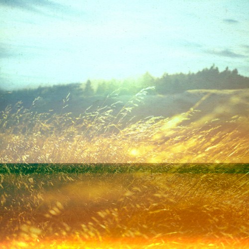 Whispering Winds