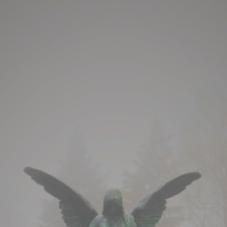 Pity / Piety