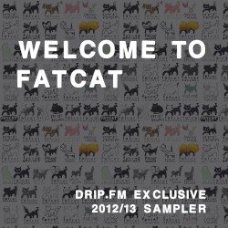 Welcome to FatCat