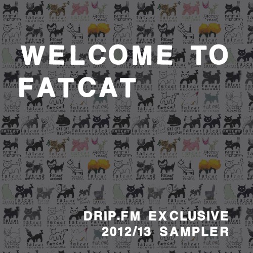 Welcome to FatCat