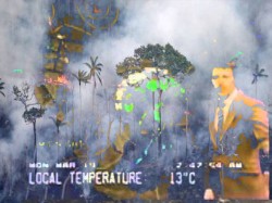Forecast