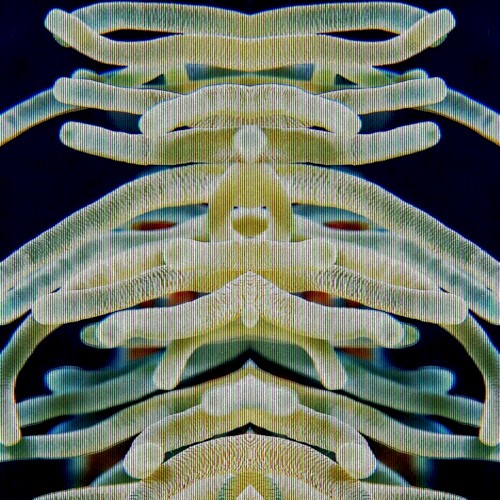 Coral de oro