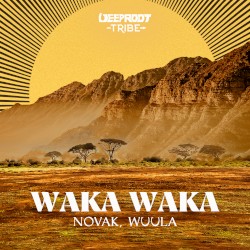 Waka Waka
