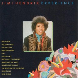 Experience