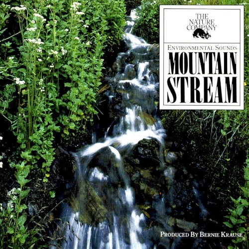 Mountain Stream
