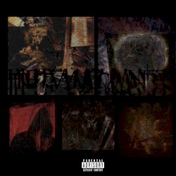 The Vacants