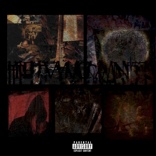 The Vacants