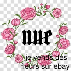 JE VENDS DES FLEURS SUR EBAY
