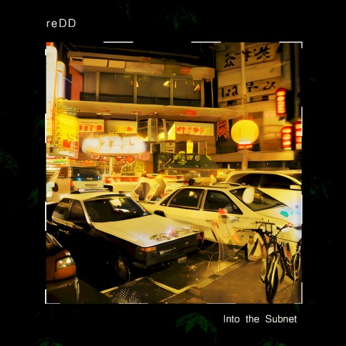 Into the Subnet
