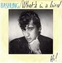 What’s in a Bird / Hi!