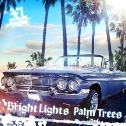 Bright Lights Palm Trees