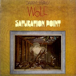 Saturation Point