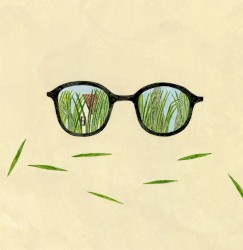 日々