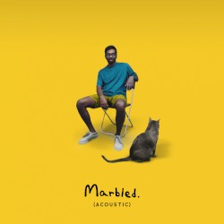 Marbled (acoustic)