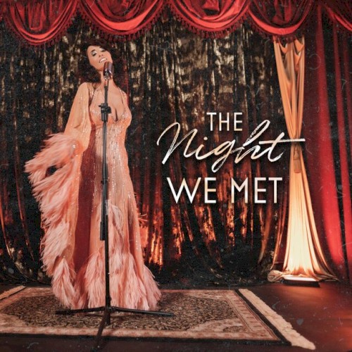 The Night We Met