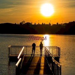 Feelings