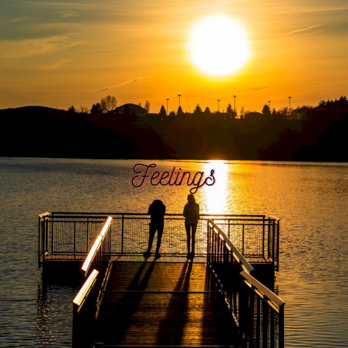 Feelings