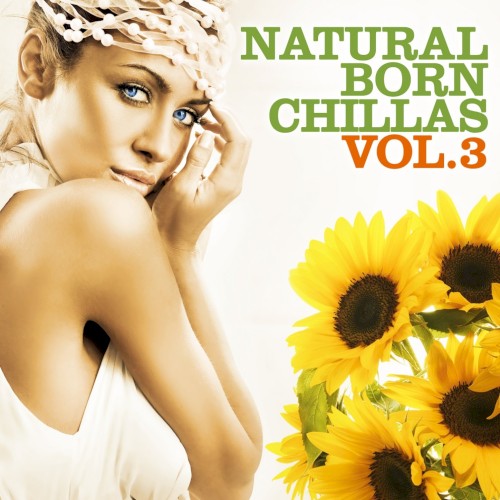 Natural Born Chillas, Volume 3: The Ultimate Lounge & Chill Out Experience