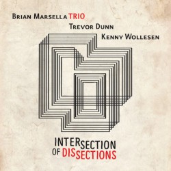 Intersection of Dissections