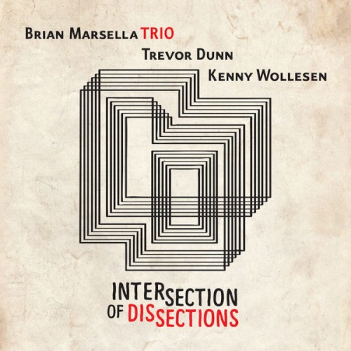 Intersection of Dissections
