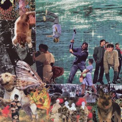 DEAD DOG PARADISE (OR LIFE LIKE PARASITES?)
