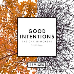 Good Intentions (remixes)