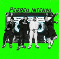 Perreo intenso