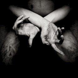 X: Varg utan flock