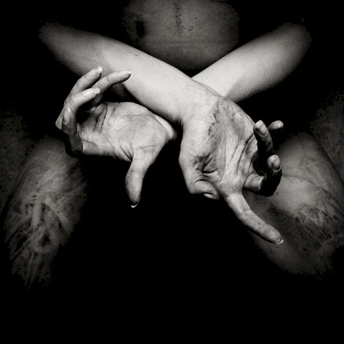 X: Varg utan flock