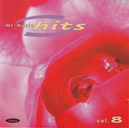 Mr Music Hits 8. 1999
