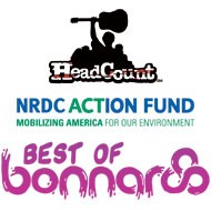 Best of Bonnaroo