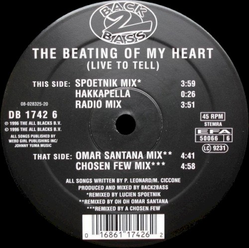 The Beating of My Heart (live to Tell)