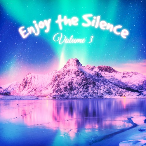 Enjoy the Silence, Vol. 3